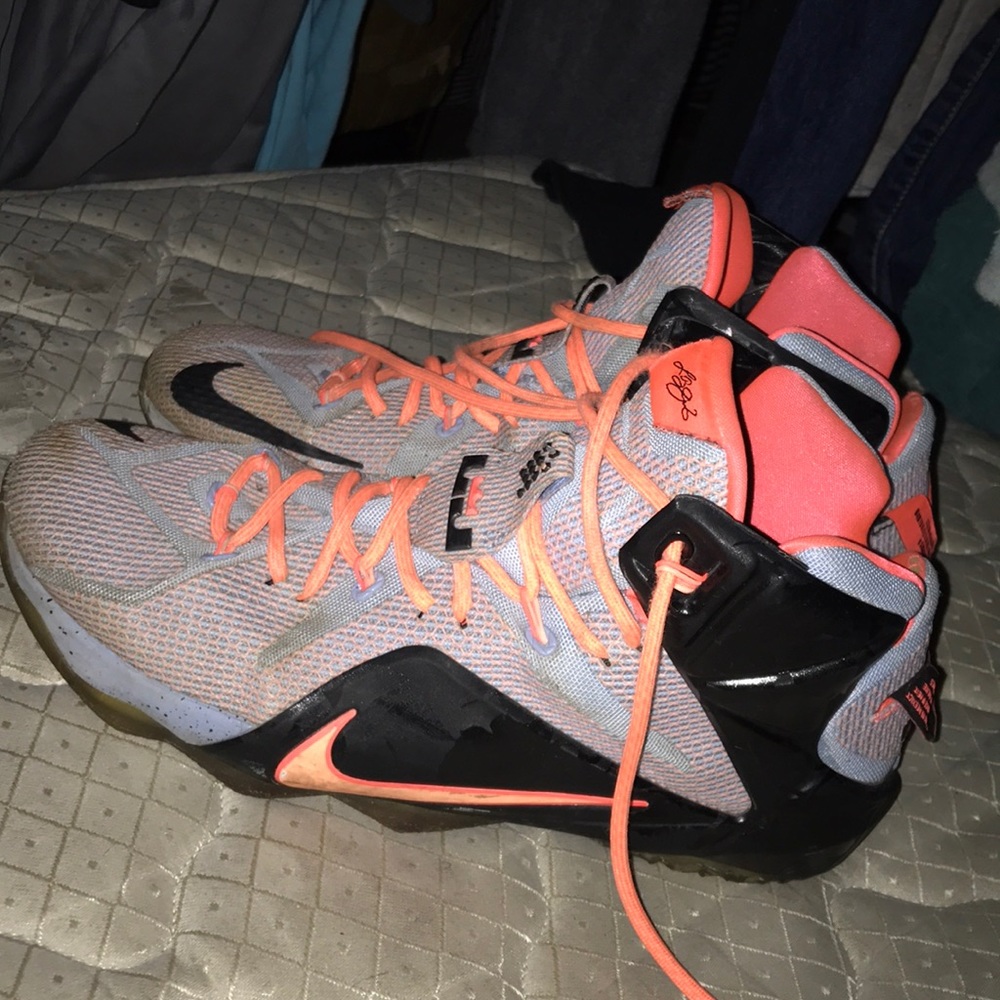 Lebron James shoes